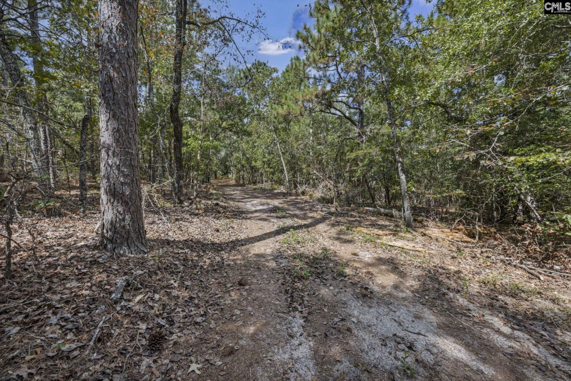 121 Coral Court Photo 45