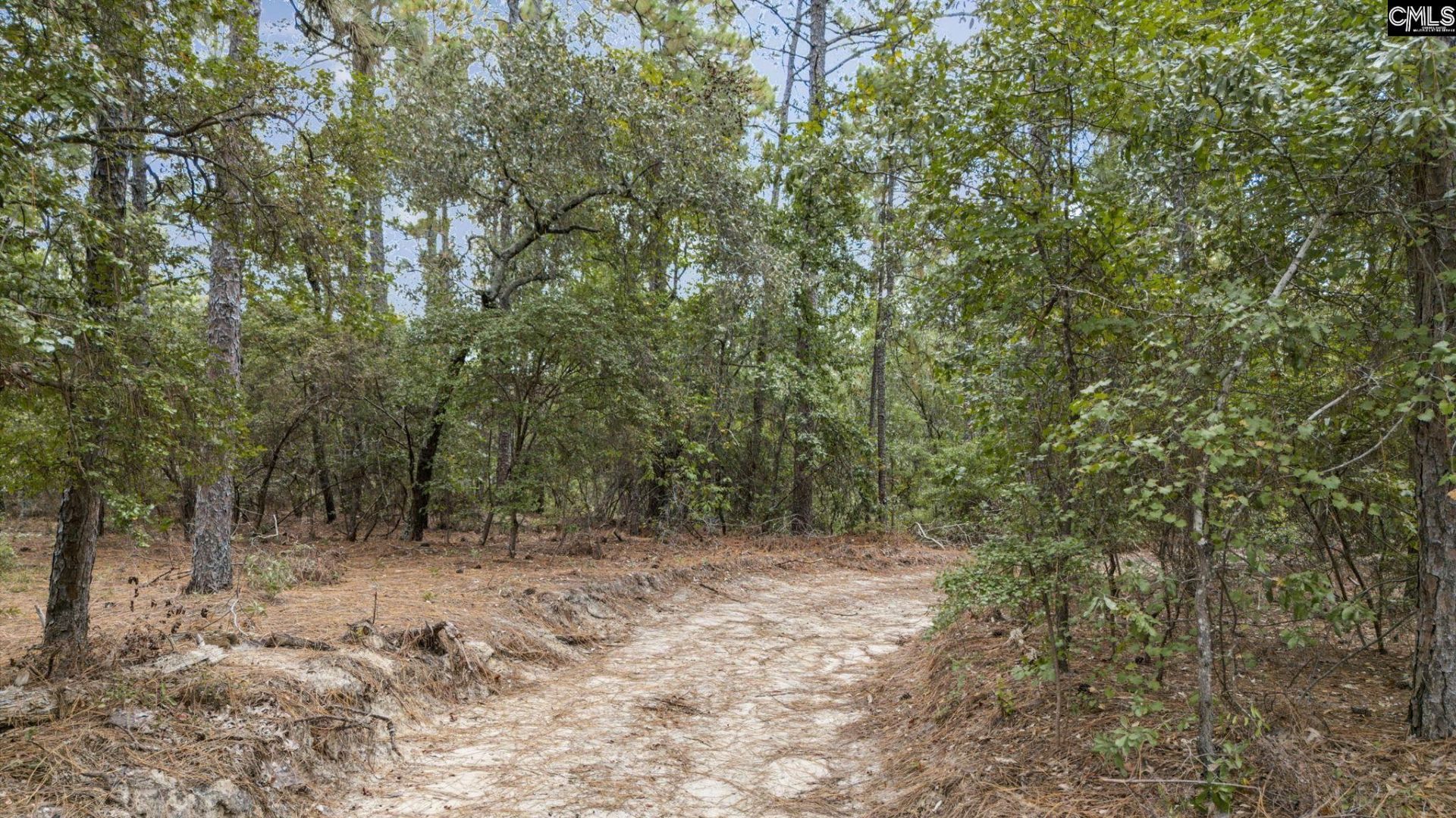 121 Coral Court Photo 47