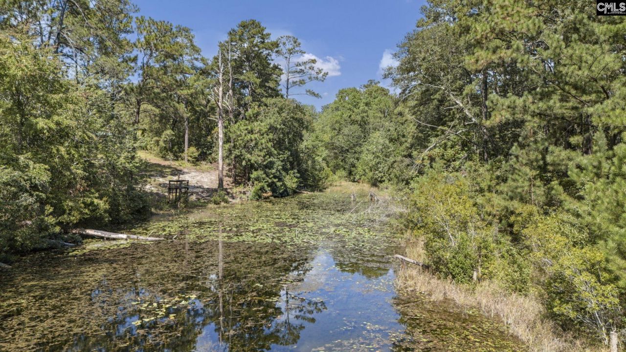 121 Coral Court Photo 8