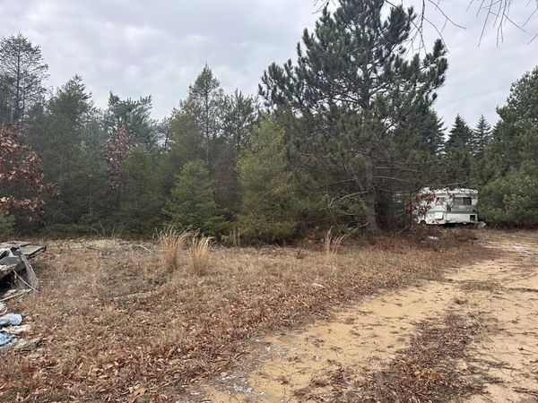 8119 N Sweet Chevy Lane, Bitely, MI 49309