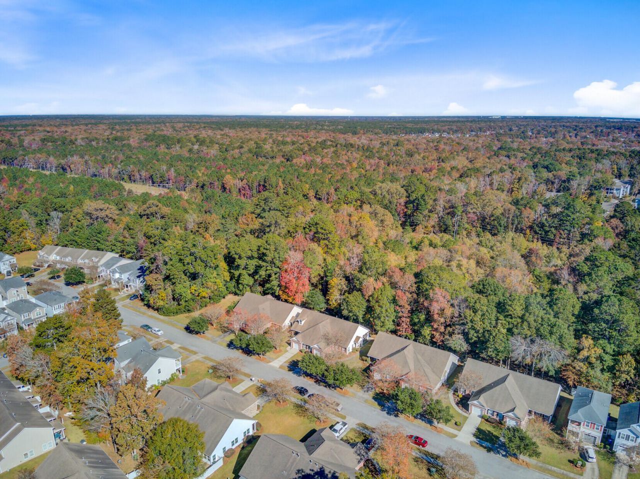 191 Larissa Drive Photo 41