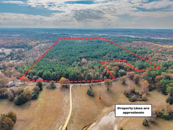 66.14 ac County Road 227, Water Valley, MS 38965