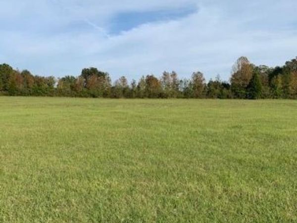 TBD Champion Circle, Water Valley, MS 38965