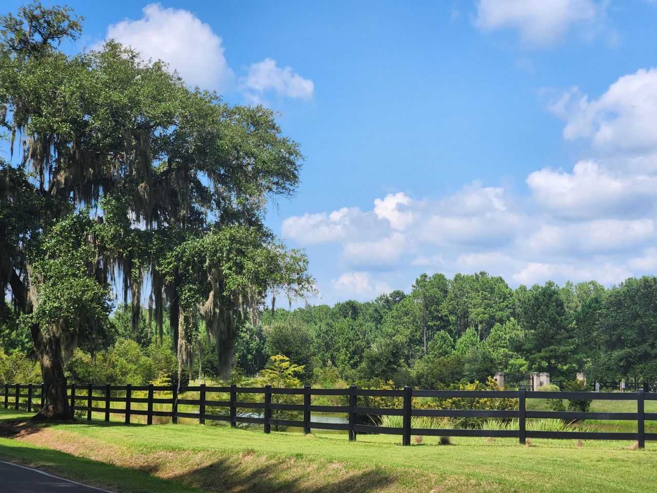 191 Chicora Lane Photo 62