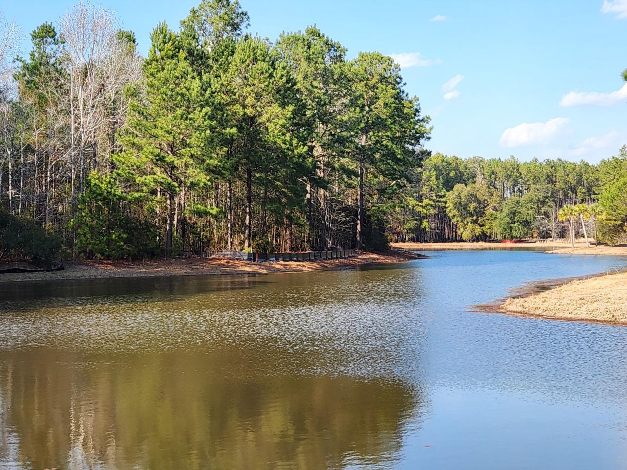 191 Chicora Lane Photo 66