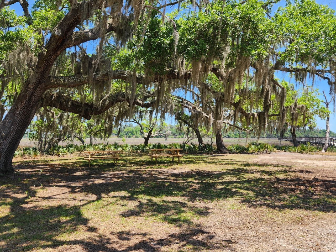 191 Chicora Lane Photo 67