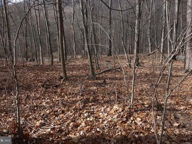 22556 LOOP ROAD, DOYLESBURG, PA 17219