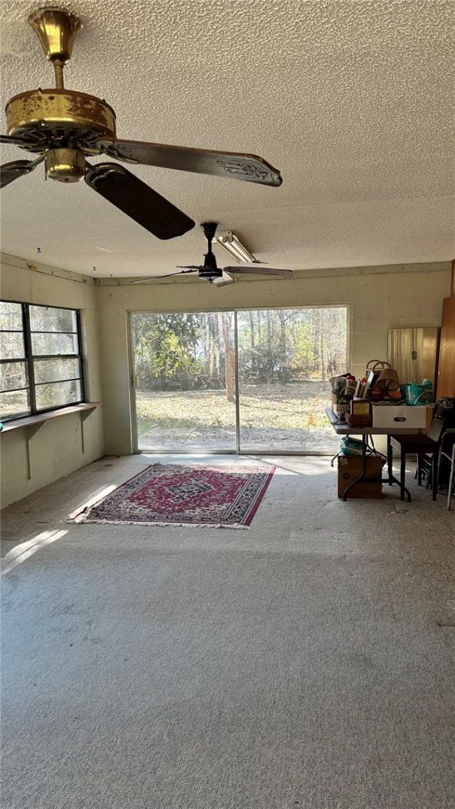 7173 W R Thomas Road, Keystone Heights, FL 32656 Photo