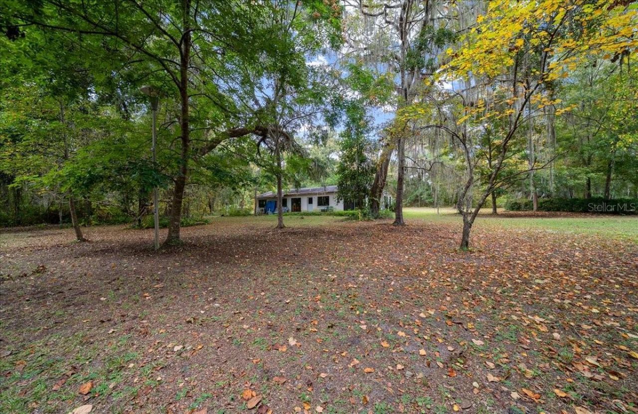 7173 W R Thomas Road, Keystone Heights, FL 32656 Photo