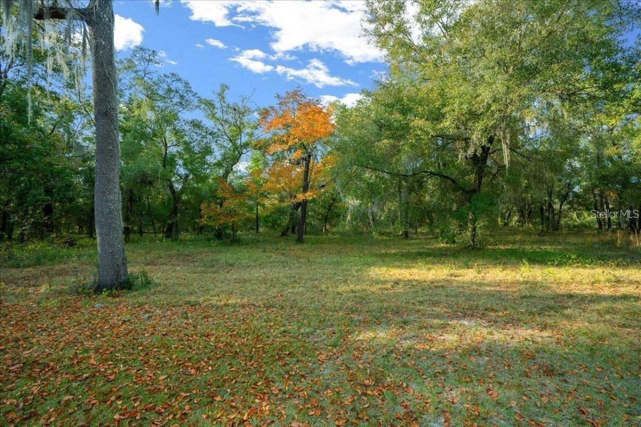 7173 W R Thomas Road, Keystone Heights, FL 32656 Photo