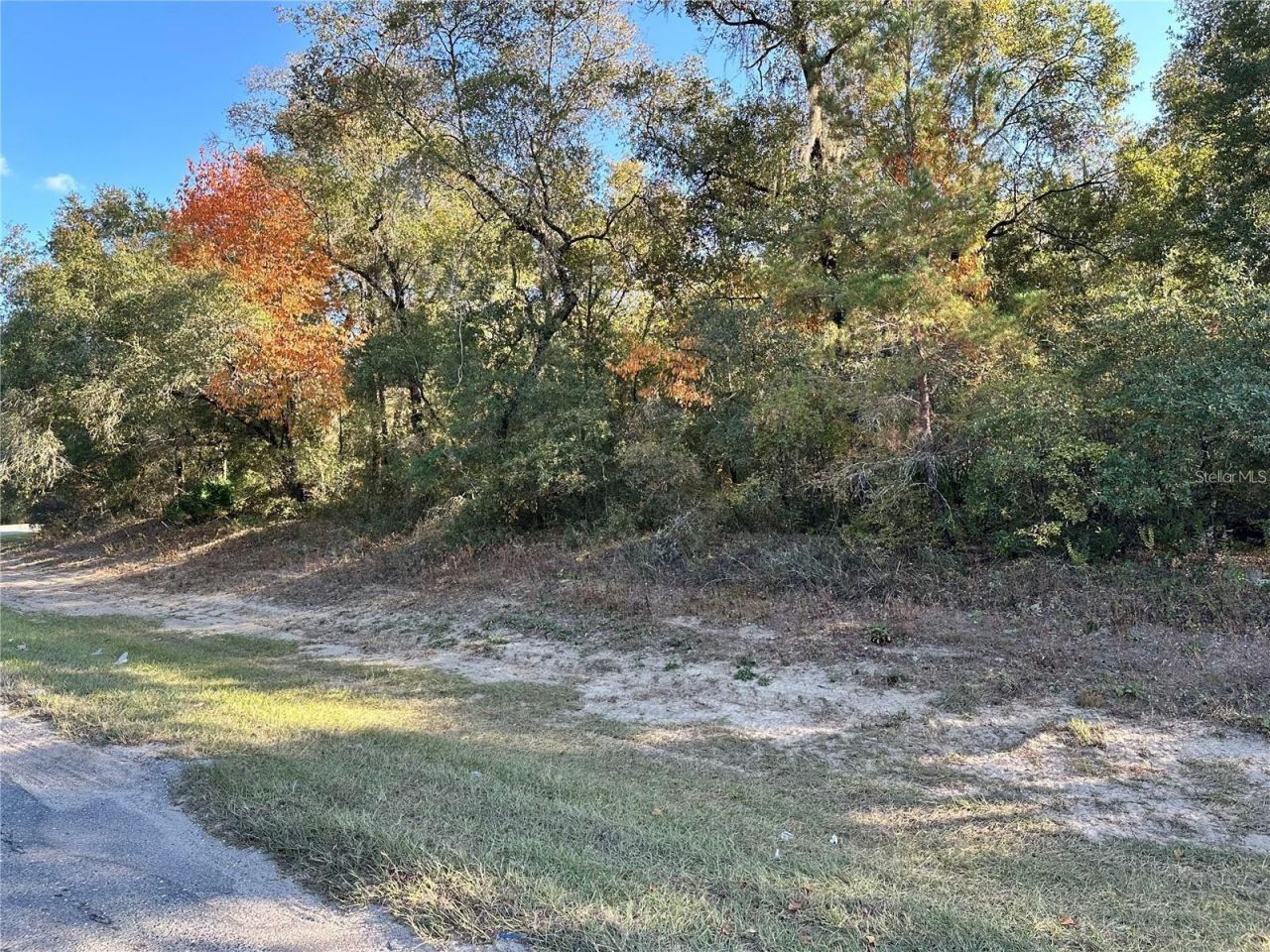 7173 W R Thomas Road, Keystone Heights, FL 32656 Photo