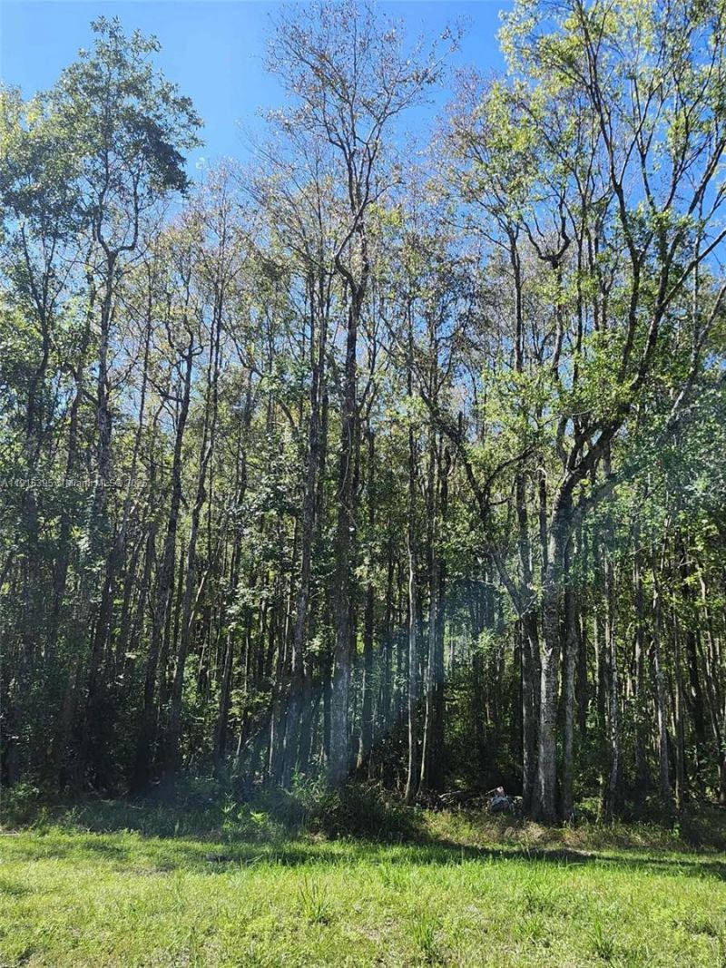 402 Smokehouse, Ponce de Leon, FL 32455 Photo