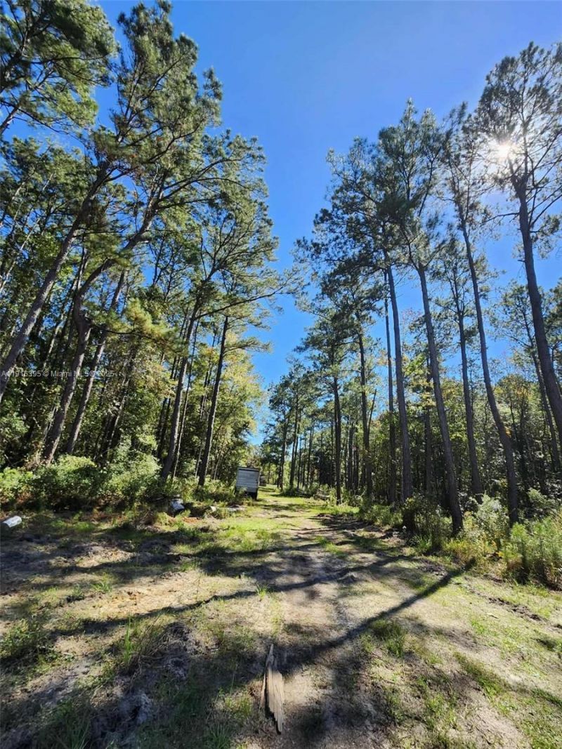 402 Smokehouse, Ponce de Leon, FL 32455 Photo