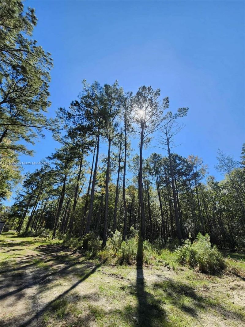 402 Smokehouse, Ponce de Leon, FL 32455 Photo