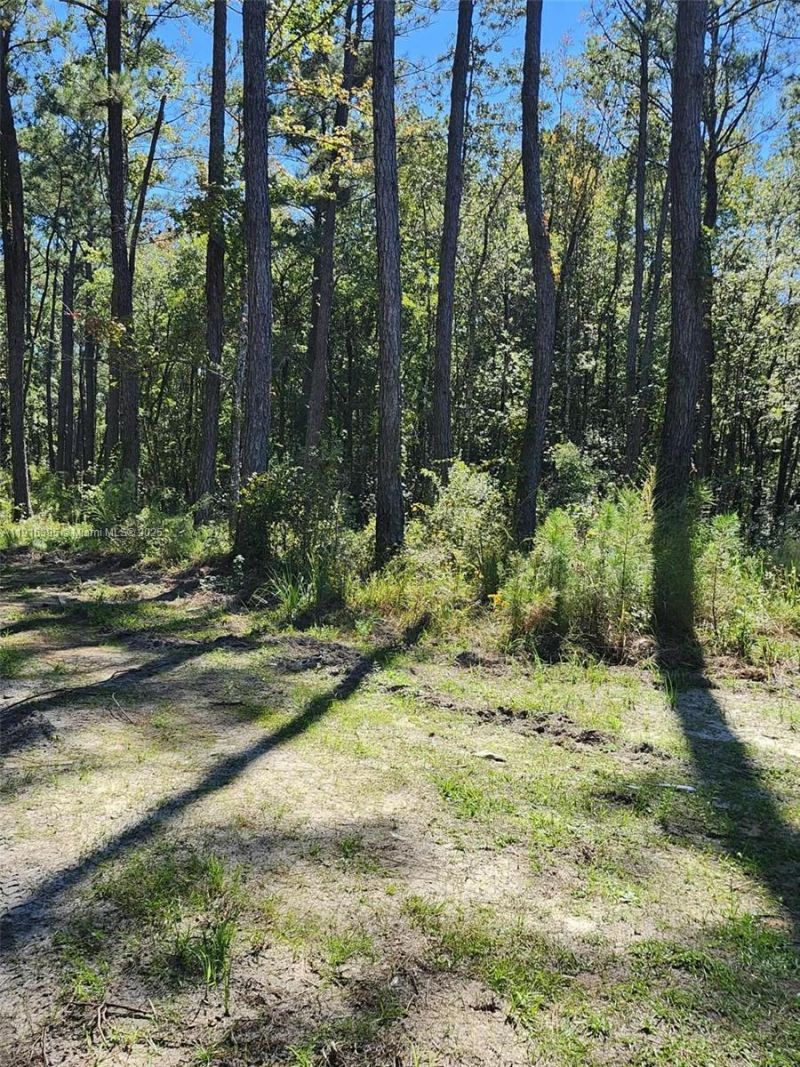 402 Smokehouse, Ponce de Leon, FL 32455 Photo