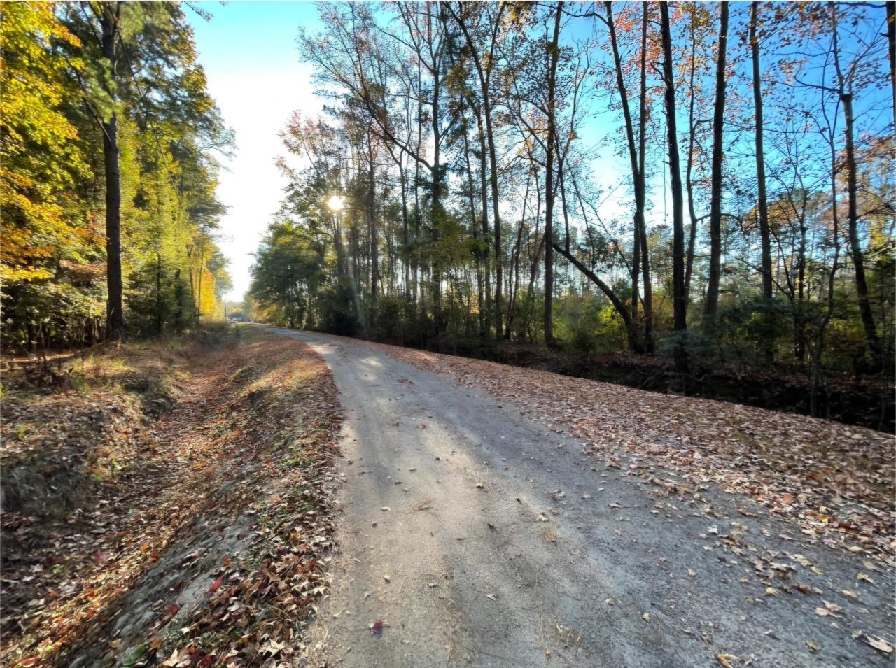 00 Dig It Rd Photo 10