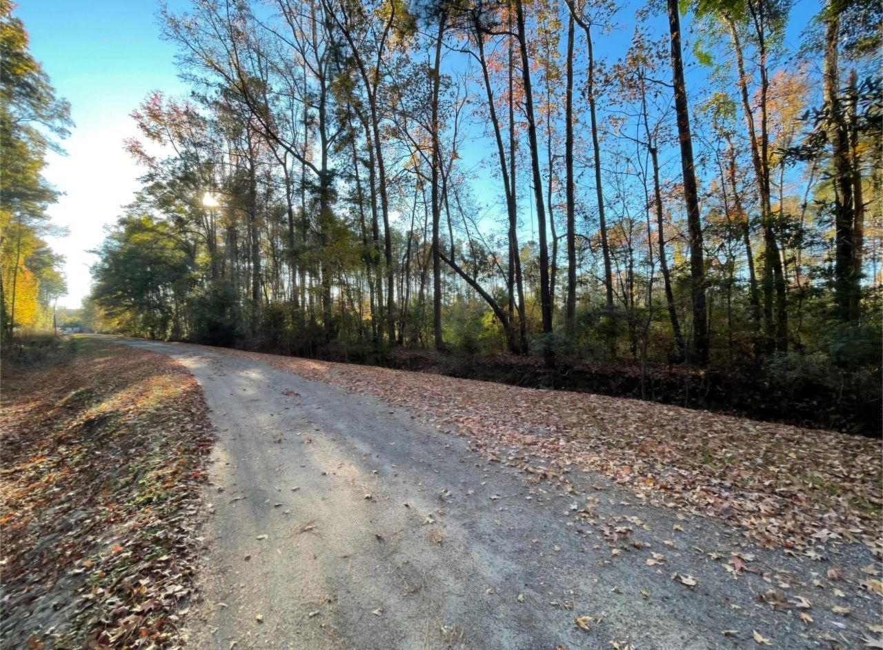 00 Dig It Rd Photo 11