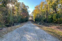 00 Dig It Rd photo 4