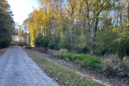 00 Dig It Rd photo 4