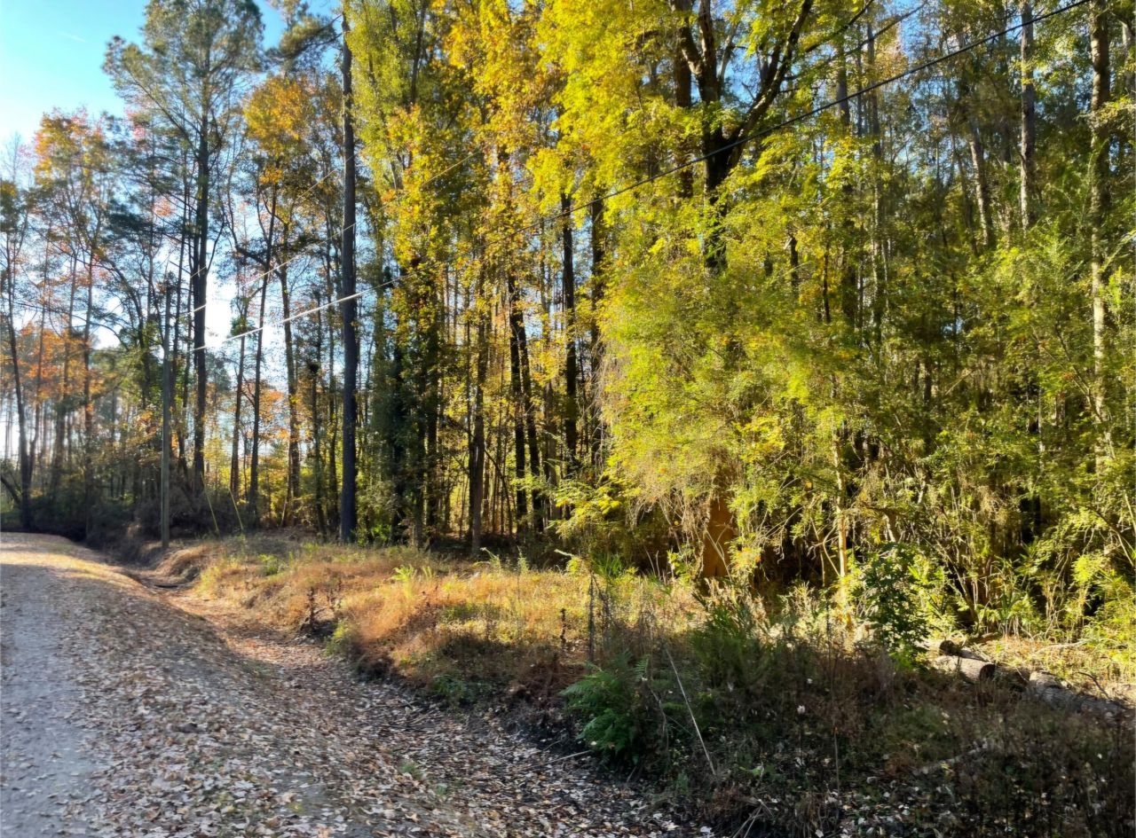 00 Dig It Rd Photo 4