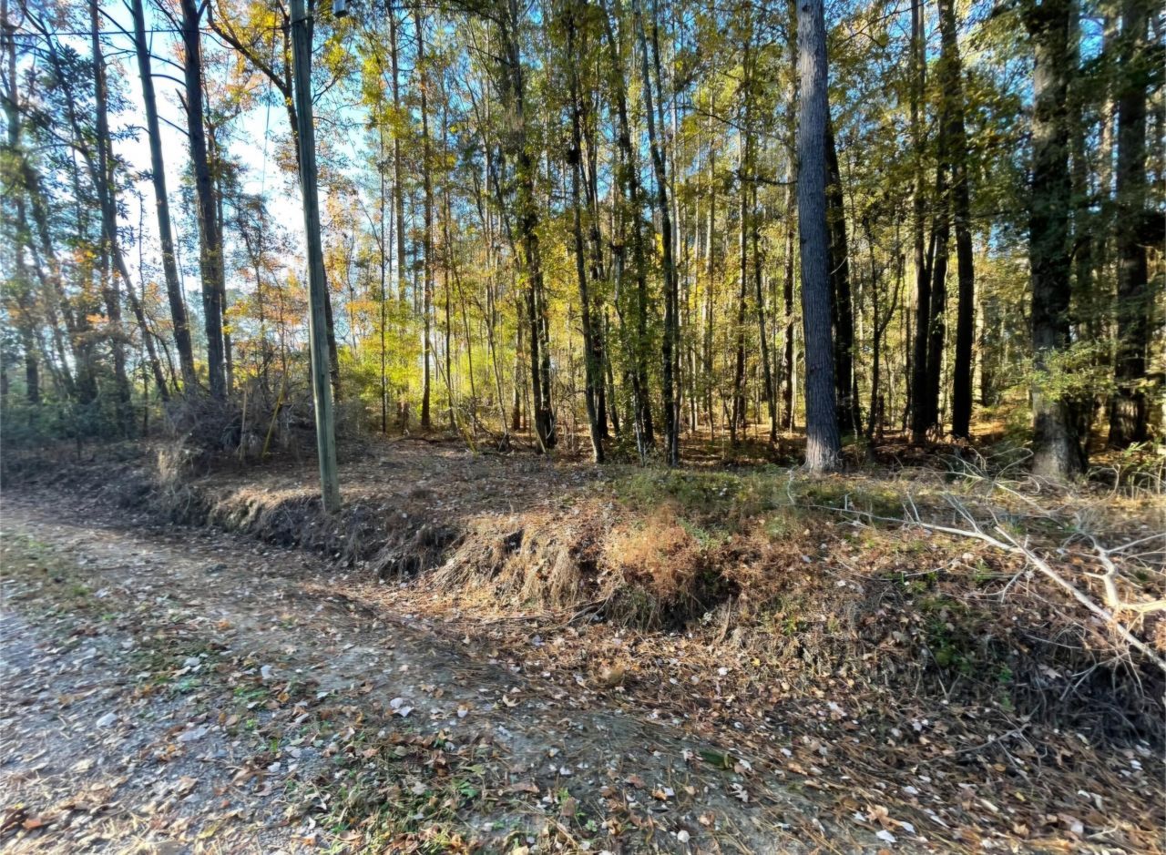 00 Dig It Rd Photo 6