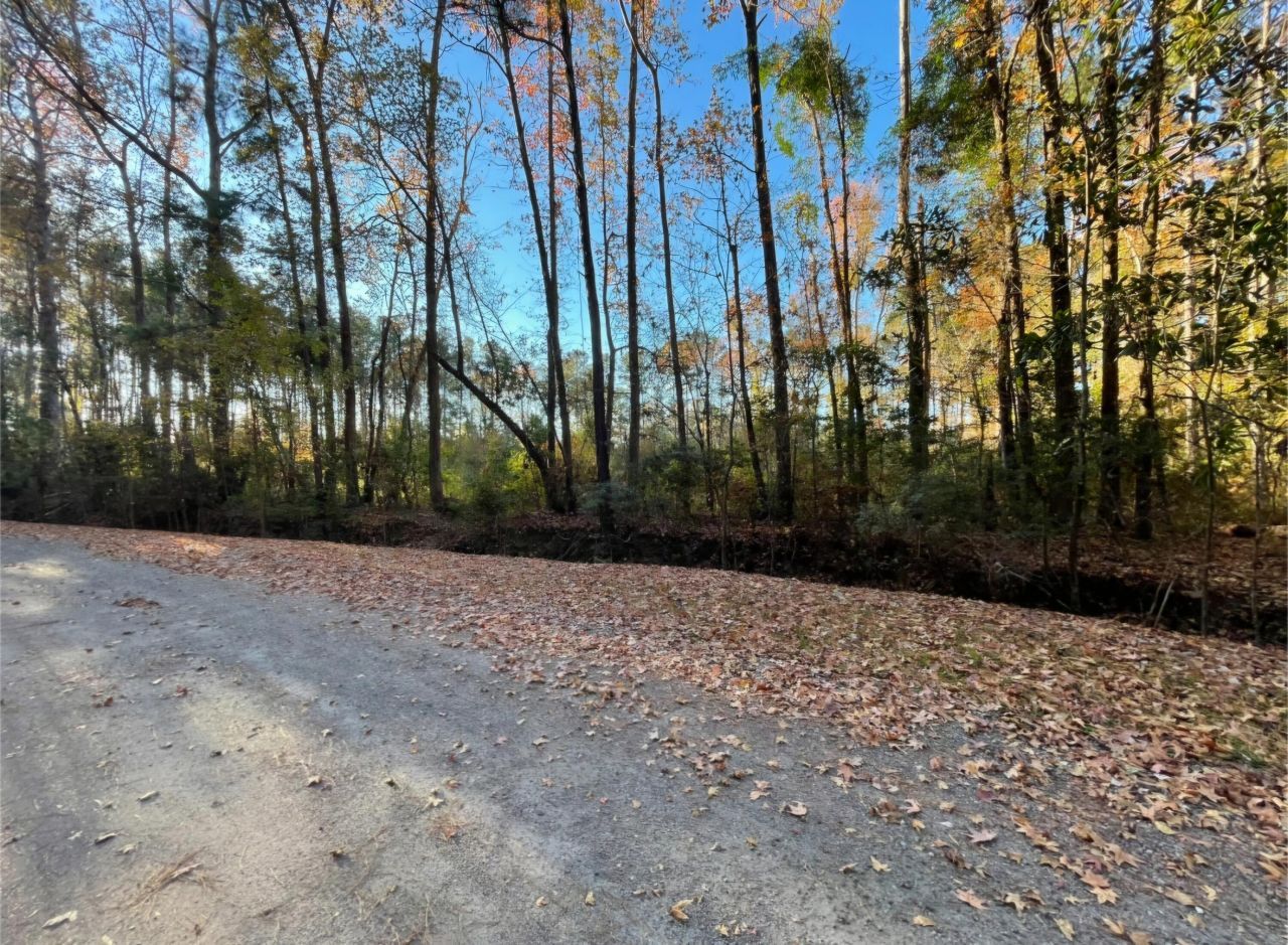 00 Dig It Rd Photo 7