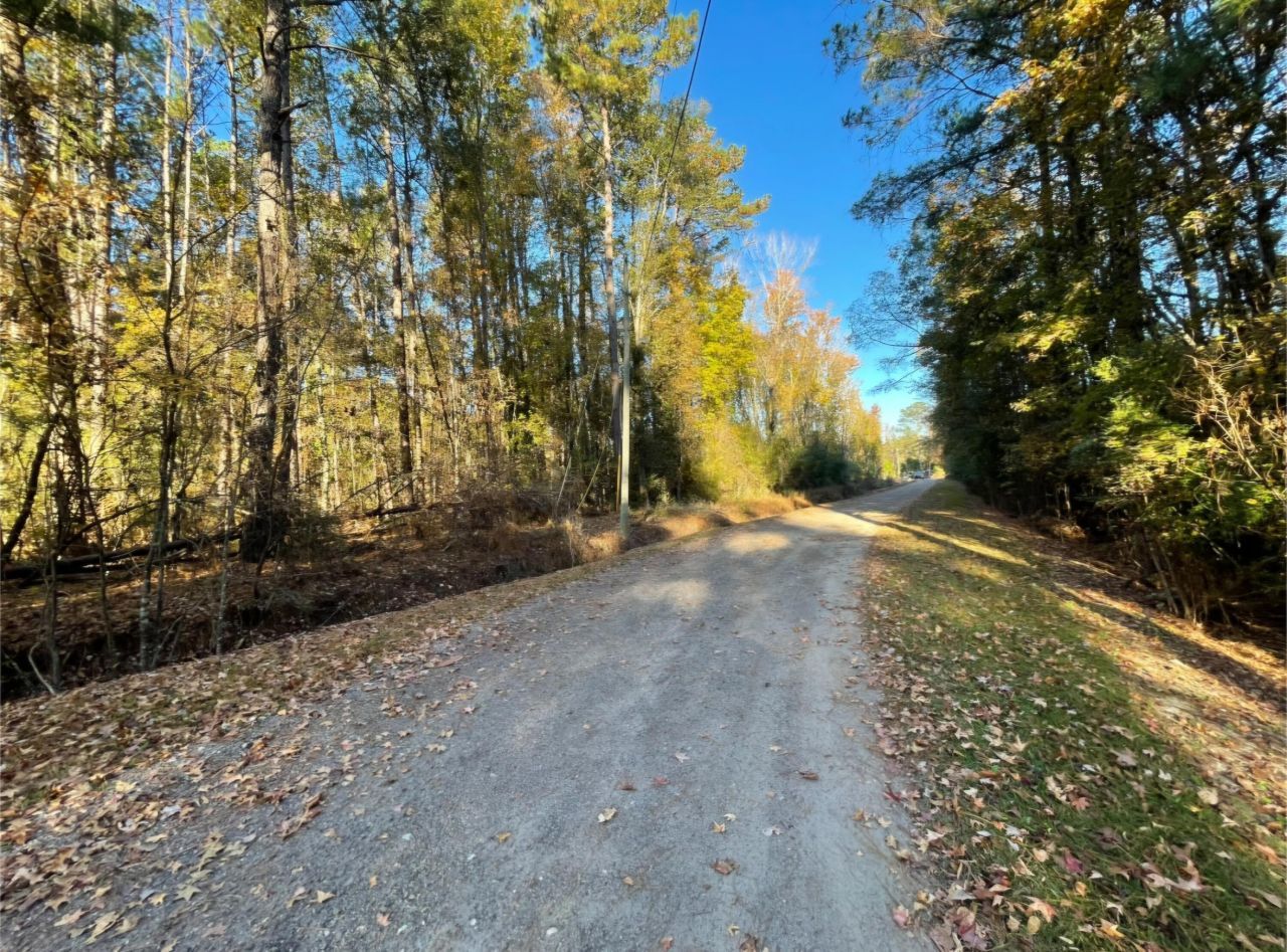 00 Dig It Rd Photo 8