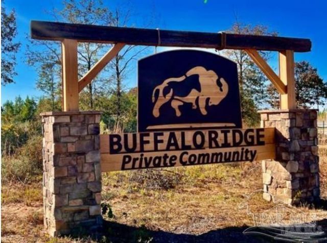 Lot 17 Bs Buffalo Ridge Rd, Pace, FL 32571 Main Photo
