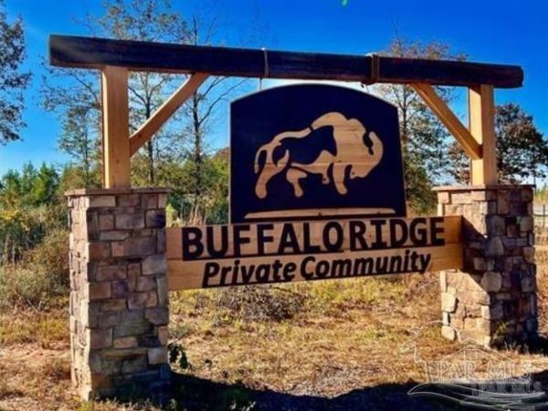 Lot 17 BS Buffalo Ridge Rd, Pace, FL 32571