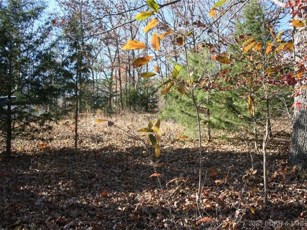 TBD Lodge Drive , Edwards, MO 65326