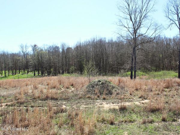 13135 Pebble View Drive, Byhalia, MS 38611