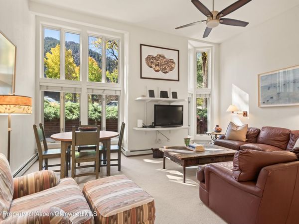 900 E Durant Avenue, Unit #109, Aspen, CO 81611