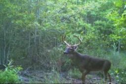 1400 Kelley Rd photo 4