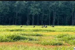 1400 Kelley Rd photo 4