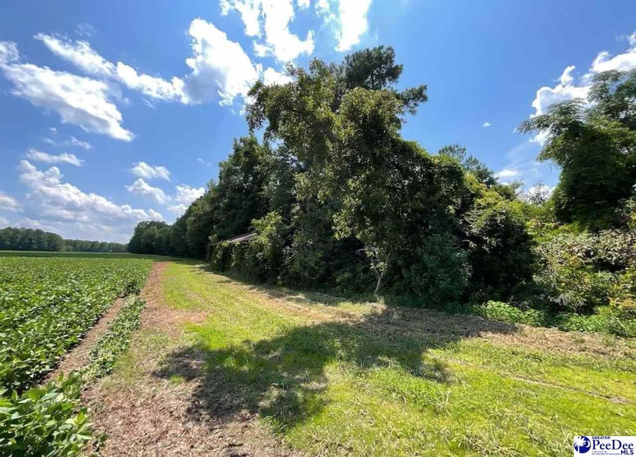 1400 Kelley Rd Photo 4