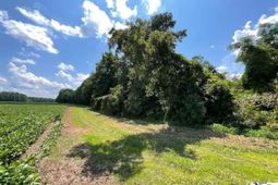 1400 Kelley Rd photo 4