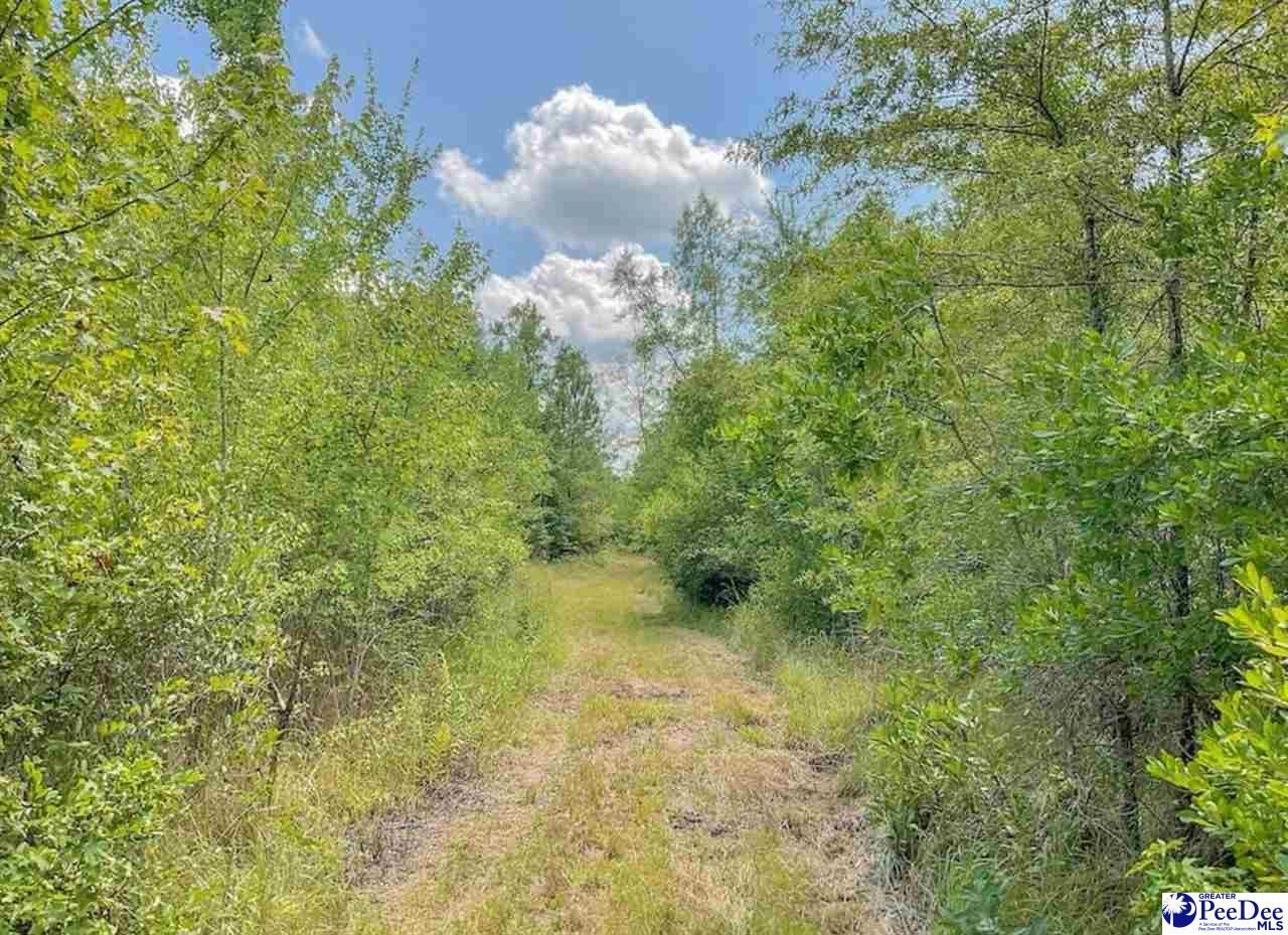 1400 Kelley Rd Photo 5