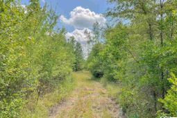 1400 Kelley Rd photo 4