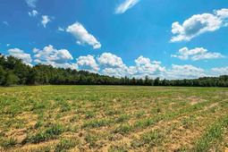 1408 Kelley Rd photo 4