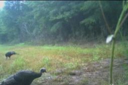 1408 Kelley Rd photo 4