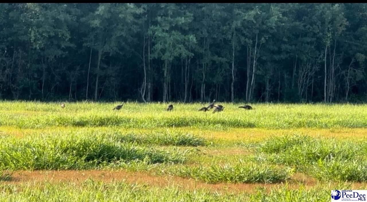 1408 Kelley Rd Photo 4