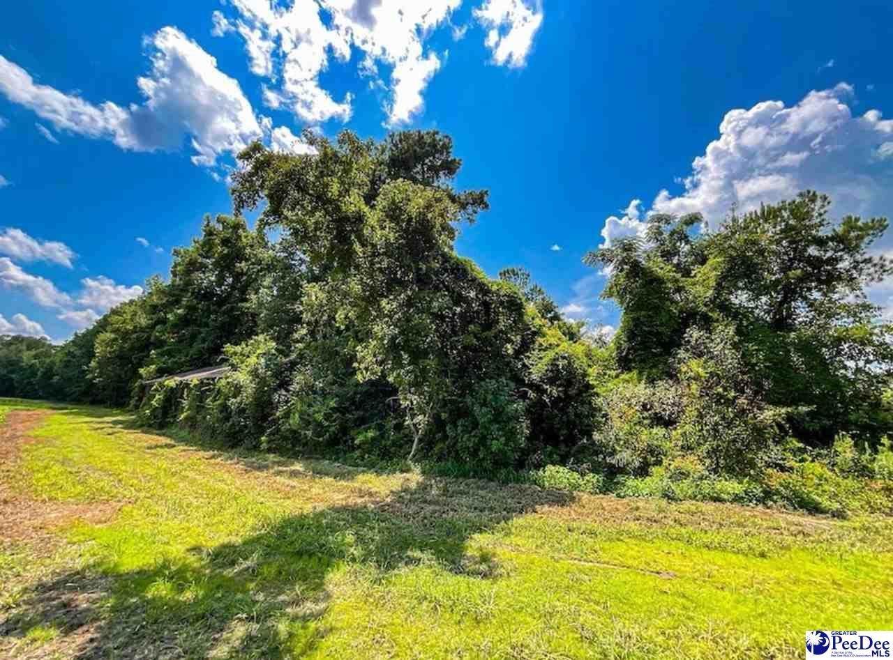 1408 Kelley Rd Photo 5