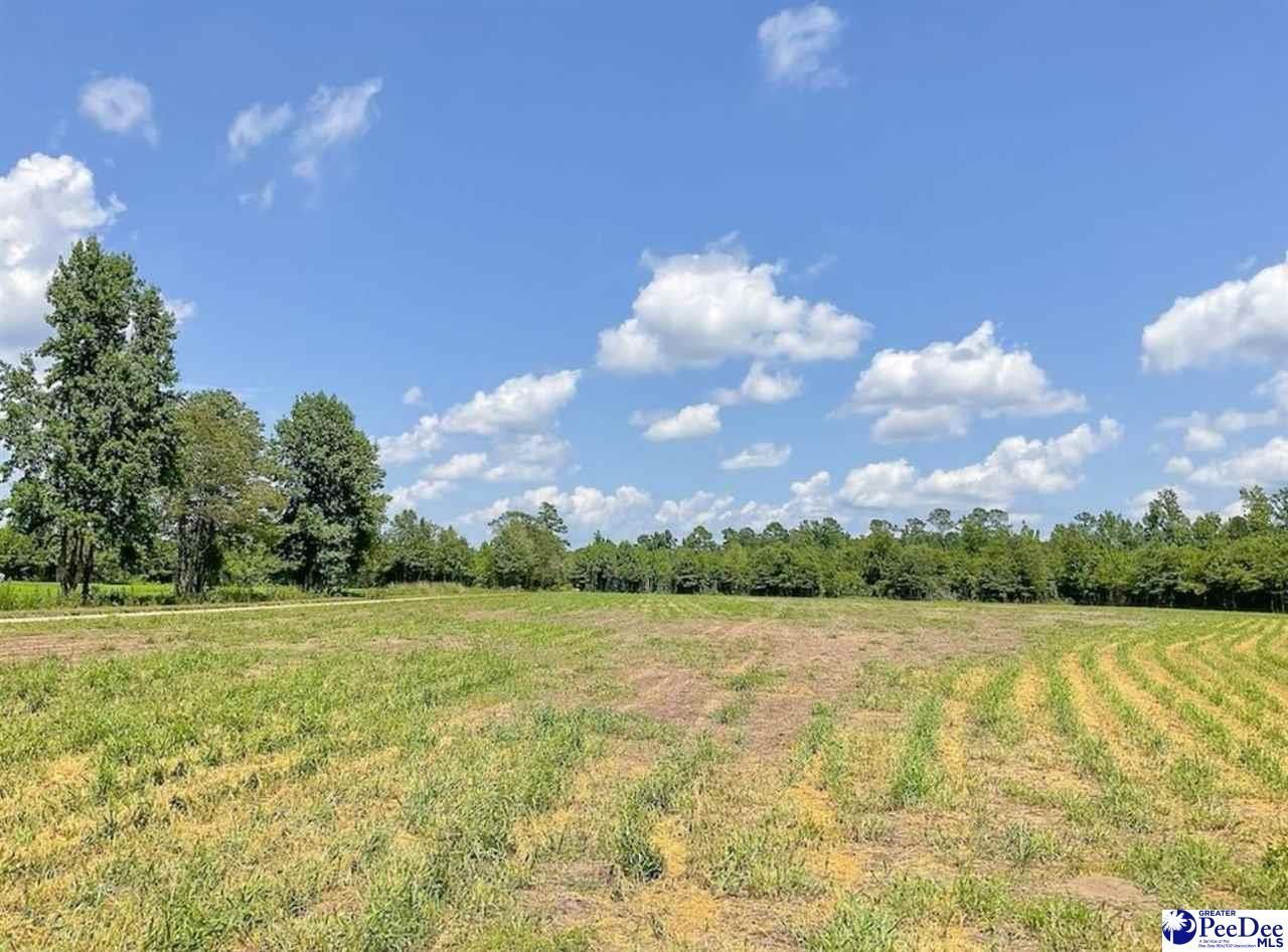 1408 Kelley Rd Photo 6