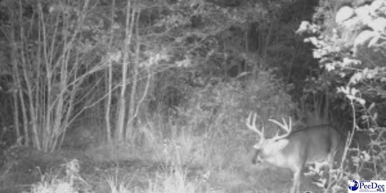 1408 Kelley Rd Photo 7