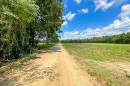 1416 Kelley Rd photo 4