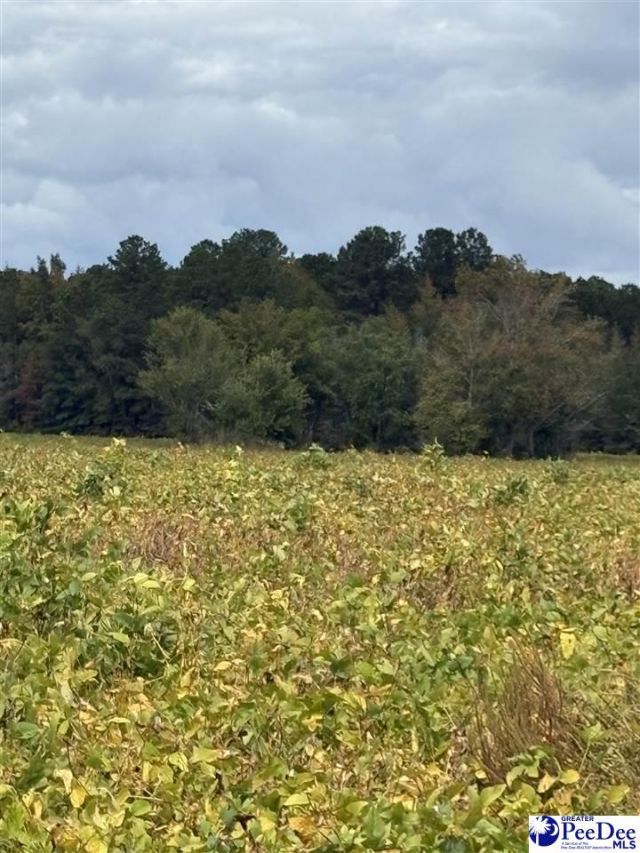 1416 Kelley Rd Photo 3