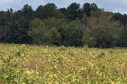 1416 Kelley Rd photo 4