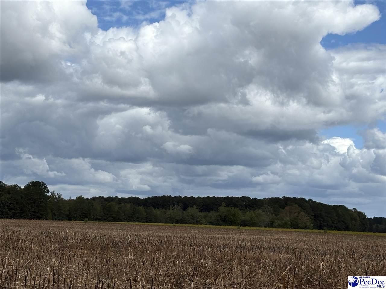 1416 Kelley Rd Photo 4