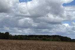 1416 Kelley Rd photo 4