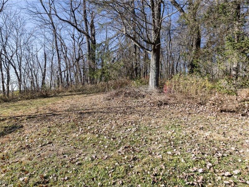 9795 West Pike, Hopewell, OH 43746 Photo 27